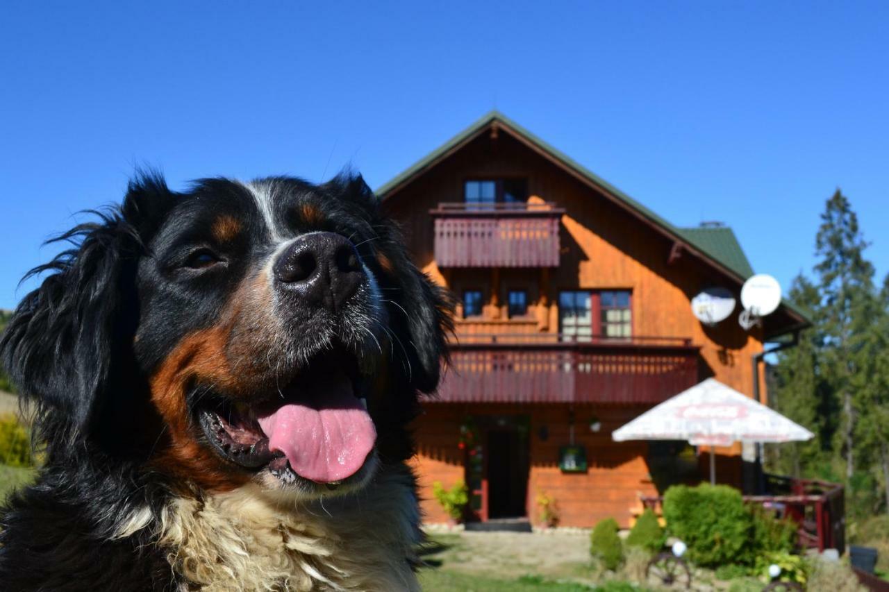 Penzion Dinda Stará ľubovňa Exteriér fotografie